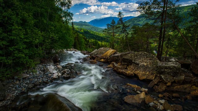 Disfruta de ríos y cascadas